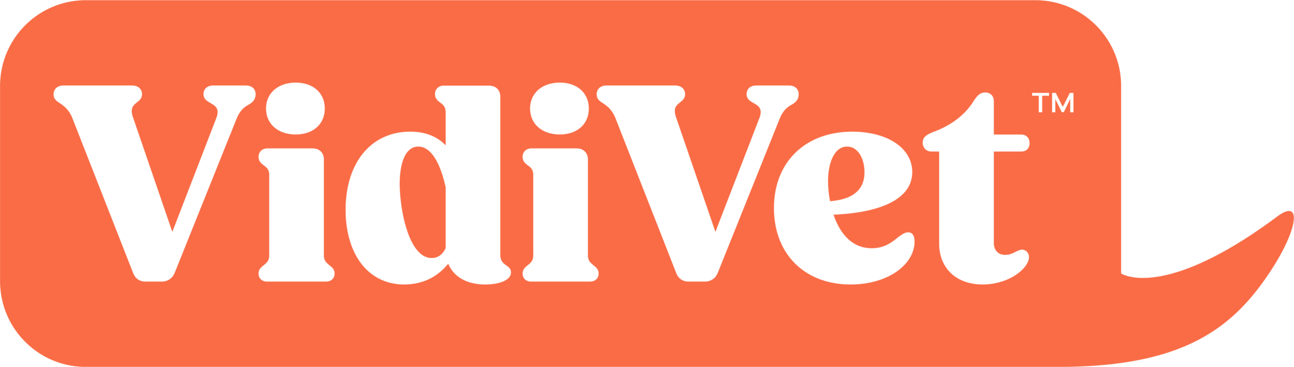 VidiVet